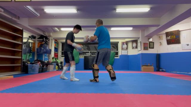 1/21 水曜日の記事動画