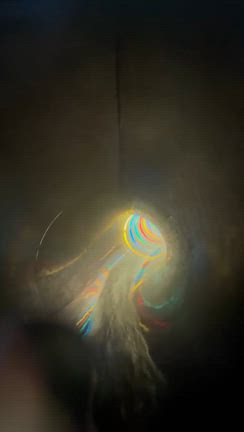 秋休み5日目　箱根ユネッサンと誕生日の記事動画