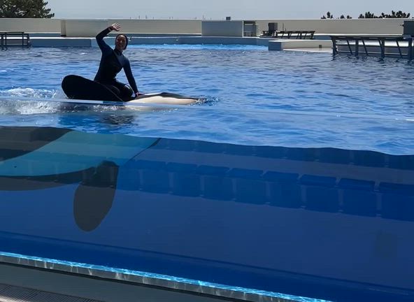 シャチ愛が止まらない〜城崎温泉物産組合日帰り研修〜の記事動画