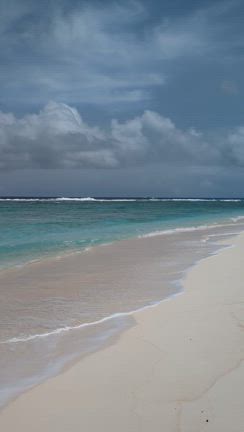 ＃海外旅行の記事動画