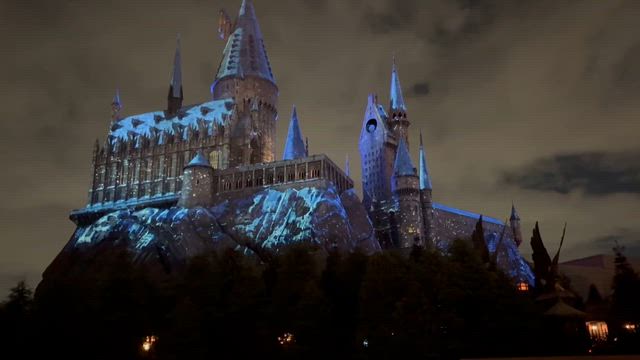 ユニバのクリスマスショー②の記事動画