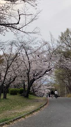 新年度スタート！の記事動画