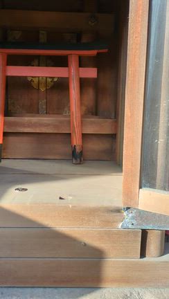 2月26日木曜日の記事動画