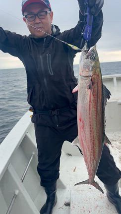 鰆いい感じの記事動画