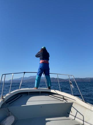 マグロキャスティングゲーム：菜の花入りビビンパの記事動画