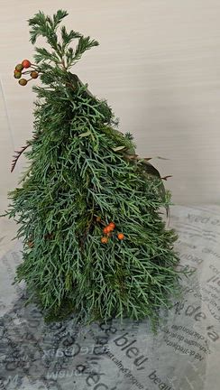 クリスマス✨✨ツリーの記事動画