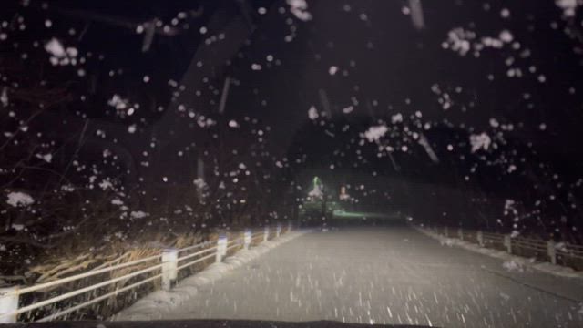 涙本当に出ました。の記事動画