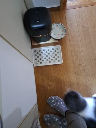 1月25日(日)マイブームはいきなり始まるの記事動画