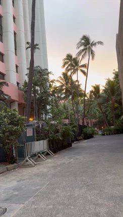 2度目のハワイ旅行初日-3の記事動画