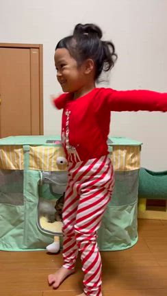 店休日の記事動画