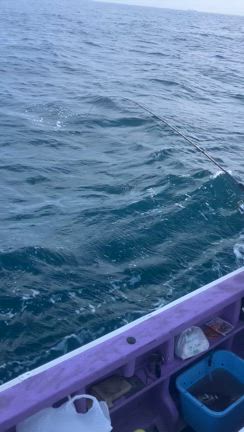 初挑戦の記事動画