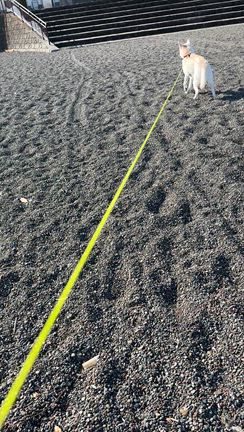 なんだ、近いのか…てなわけでの記事動画