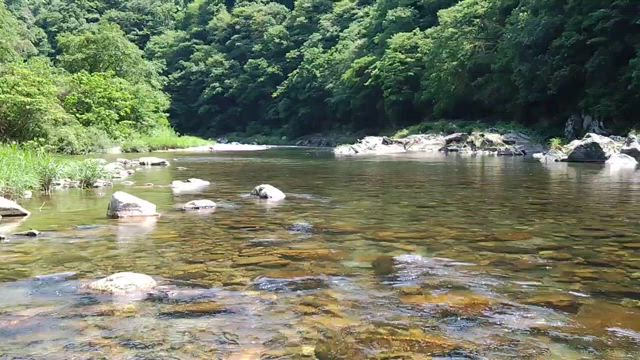 猿飼いの疑いの記事動画