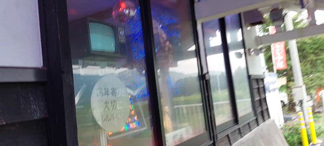 阿蘇下田城駅の記事動画