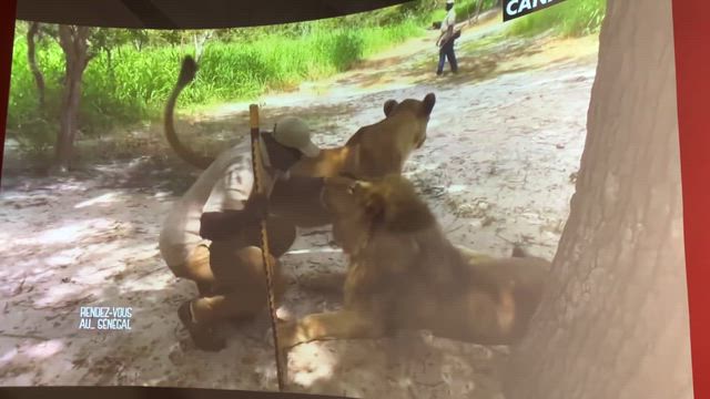 続々・支部長怒りの大阪関西万博2025…の記事動画