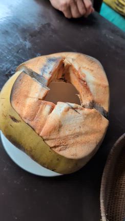 【BALIでバリバリ②】暑い国いくと風邪をひく理由の記事動画