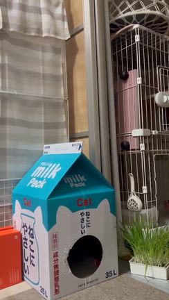 あっこのまぁるいお家〜カミングアウト〜飲み三昧の記事動画