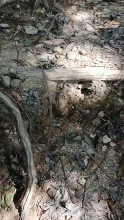 yim6周年〜いつもの場所から〜の記事動画