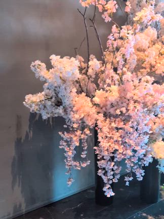 Spring Lobby Concert♬の記事動画