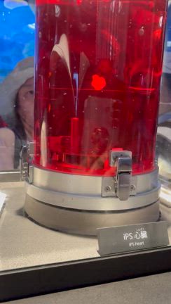 脱ウィッグの記事動画