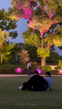 ゴールデン夜市の記事動画