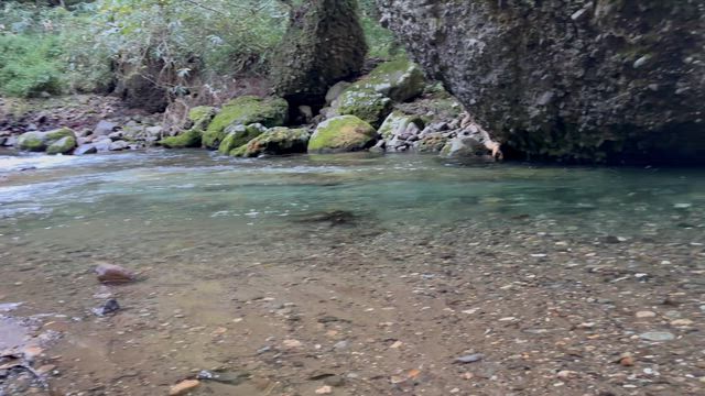 初回の記事動画