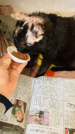 ブログ終了「また会う日まで」の記事動画