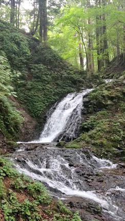 日光ひとり旅の記事動画