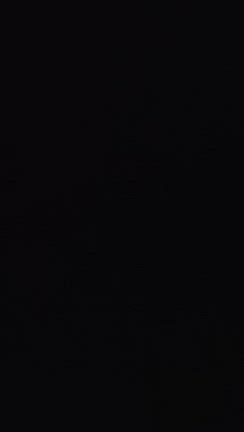 12月の記事動画