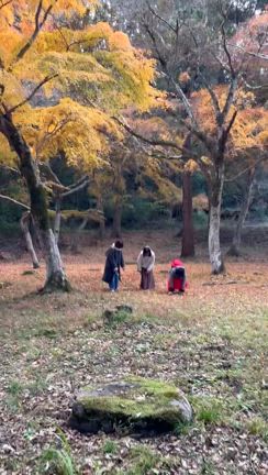 大切な思い出となりました♡～森のようなリトリート＠国東半島～の記事動画