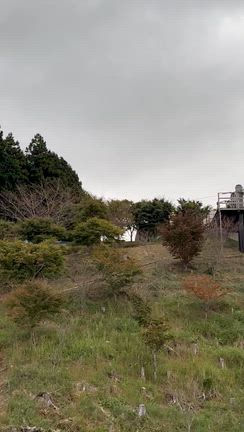 日本一長い吊り橋『三島スカイウォーク』の記事動画