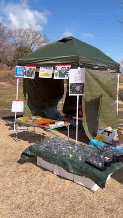 日本初の『ちょうちょ射的、ちょうちょ輪投』の記事動画