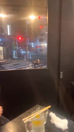 玲奈ちゃん、パコちゃんの記事動画