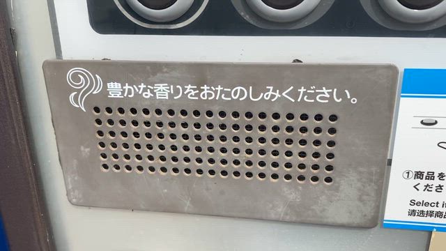 横浜南部市場と横浜ベイサイドへドライブの記事動画