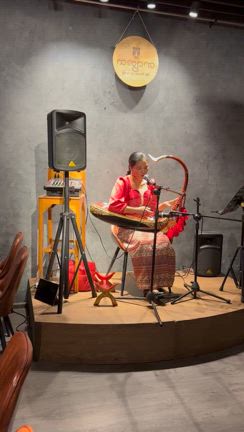 ミャンマーのハープの記事動画