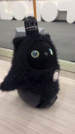 「より良い明日がくる」 と、誰もが思える世界をつくる集まり。の記事動画