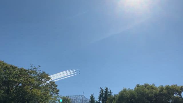 ブルーインパルス見れましたの記事動画