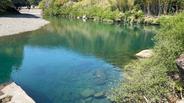 あれ？もしかして1年過ぎた？【574記事目】の記事動画