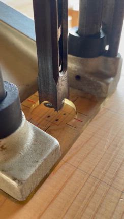 刻みの記事動画