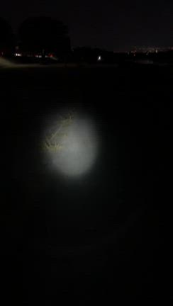 ナイトサイクリングとチアフルDVDの質問の記事動画