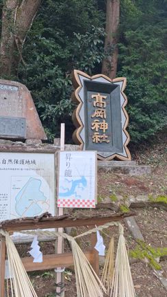 龍が現れた御神木【前編】の記事動画