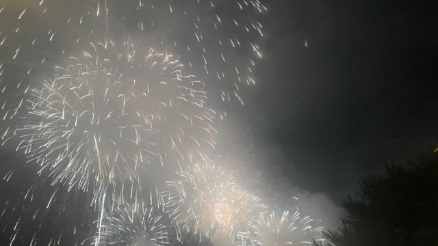 河口湖花火の思い出の記事動画