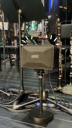 猫の日２０２６の記事動画