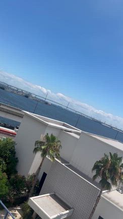 8月スタートの記事動画