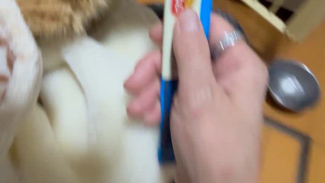 オジいらっしゃいの記事動画