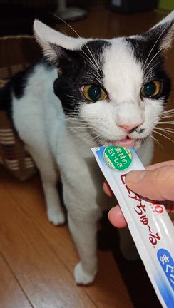 2ミリの穴の記事動画