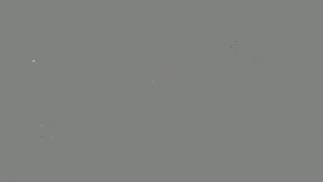 打ち上げ&新年会の記事動画