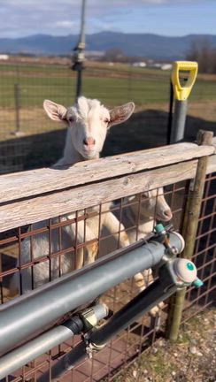道を切り拓くの記事動画