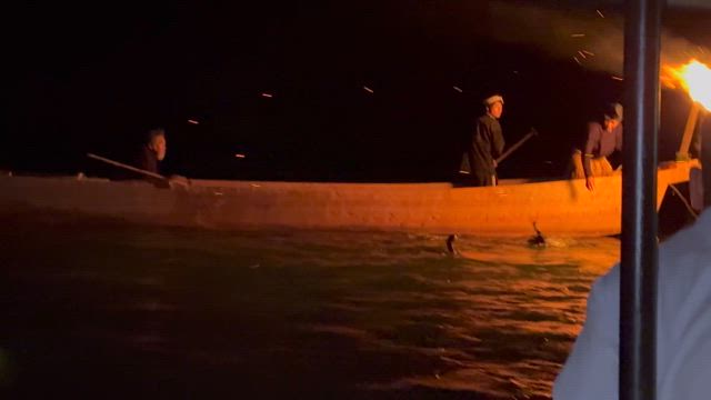 夏の思い出の記事動画