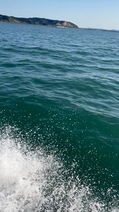 2025ティップランの記事動画